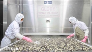 Việt Nam - Liên minh châu Âu nâng tầm hợp tác kinh tế, thương mại