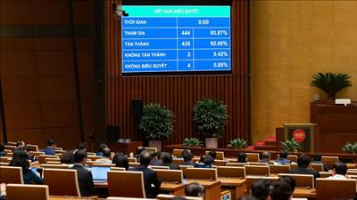 Thiết lập tòa án chuyên biệt cho Trung tâm tài chính quốc tế