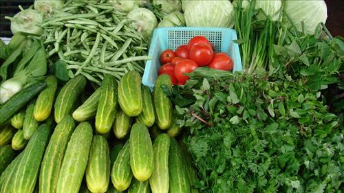 Phối hợp tuyên truyền, giám sát sản xuất, kinh doanh nông lâm thủy sản chất lượng, an toàn