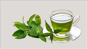 Những thực phẩm tốt cho sức khỏe não bộ