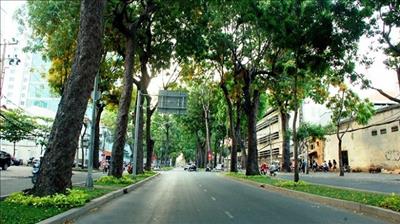 Giai đoạn 2020 - 2025 TP HCM tăng tỷ lệ che phủ rừng và cây xanh lên 41%