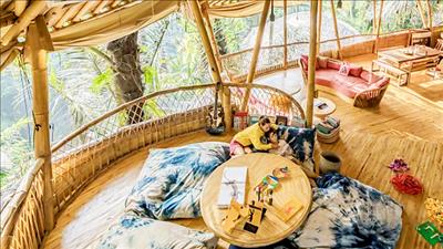 Sử dụng tre trong công trình giúp giảm phát thải