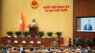 Tạo hành lang pháp lý vững chắc và thuận lợi cho hoạt động bảo hộ quyền sở hữu trí tuệ