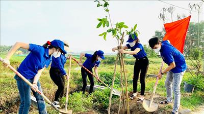 Đề án Trồng 1 tỷ cây xanh: Hơn 1,4 tỷ cây đã được trồng trong 5 năm qua