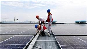 Trung Quốc công bố Sách Trắng về trung hòa carbon