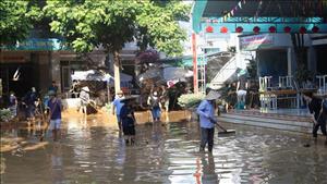 Thủ tướng yêu cầu đánh giá, khắc phục thiệt hại do bão số 11 gây ra đối với ngành giáo dục