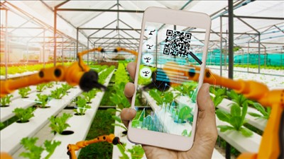 Áp dụng quy định mới về truy xuất nguồn gốc thực phẩm