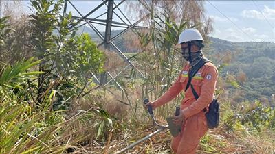 Phòng chống cháy, đảm bảo an toàn hành lang lưới điện truyền tải