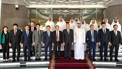 UAE sẵn sàng chia sẻ kinh nghiệm, hỗ trợ xây dựng trung tâm tài chính quốc tế tại Việt Nam