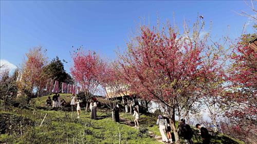 Thời tiết Tết Nguyên đán Bính Ngọ 2026 thuận lợi cho các hoạt động du xuân