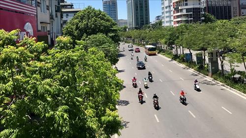 Thời tiết ngày 19/6: Nhiều khu vực ngày nắng nóng, chiều tối mưa dông