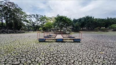 El Nino có thể kích hoạt cuộc khủng hoảng giá hàng hóa toàn cầu
