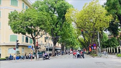 Bắc Bộ nắng hanh, Trung Bộ mưa lớn cục bộ, Nam Bộ mưa dông vào chiều tối