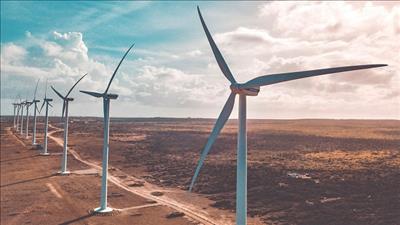 Tại sao các turbine gió cần sử dụng đất hiếm?