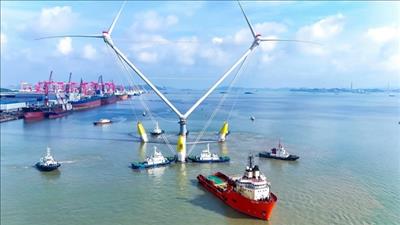 Trang trại điện gió chống bão ven biển Trung Quốc