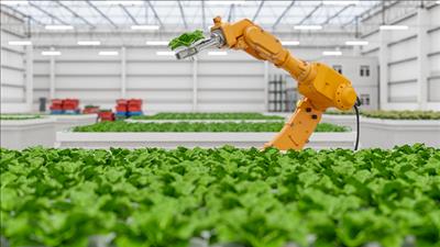 Phát triển nông nghiệp bền vững gắn với bảo vệ môi trường và thích ứng biến đổi khí hậu