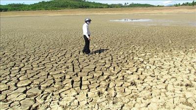 Ứng phó với nắng nóng, hạn hán và xâm nhập mặn tại khu vực Trung Bộ và Tây Nguyên