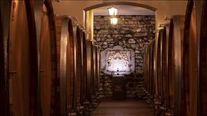 Tìm hiều về vùng trồng nho Valpolicella và hầm rượu Cantina Santi (Italy)