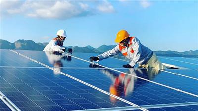 Đan Mạch hỗ trợ Việt Nam hoàn thiện bộ chỉ tiêu thống kê về việc làm xanh