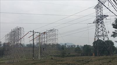 Hoàn thành nâng tải đường dây 220kV đoạn Việt Trì – Suối Sập 2A