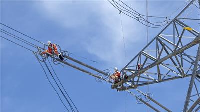 Bảo dưỡng đường dây 500kV, đảm bảo cấp điện trong những tháng cuối năm 2024