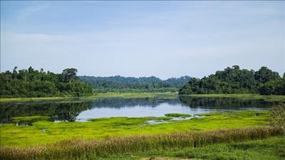 Vườn quốc gia Cát Tiên nhận 4 giải thưởng quốc tế về du lịch sinh thái