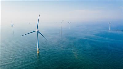 Quy định mức thu tiền sử dụng khu vực biển