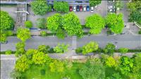 Vì một nền văn minh sinh thái, một Việt Nam xanh và một đại dương hòa bình, bền vững