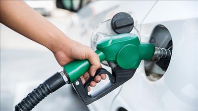 Bảo đảm nguồn cung ứng xăng dầu phục vụ nhu cầu tiêu dùng trong dịp Tết