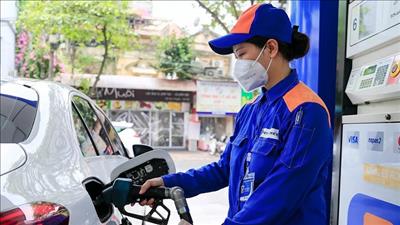 Lấy ý kiến để xây dựng nghị định mới về kinh doanh xăng dầu