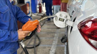 Chính phủ quyết định chi tạm ứng 8.000 tỷ đồng cho Quỹ Bình ổn giá xăng dầu