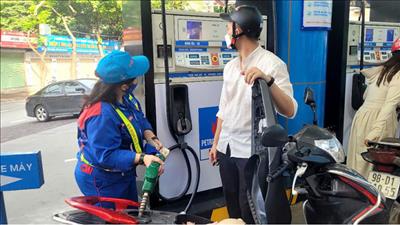 “Thời điểm vàng” cho năng lượng sinh học tại Việt Nam