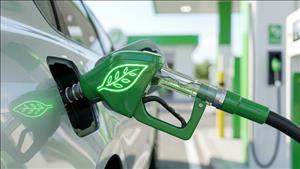 Tháo gỡ điểm nghẽn, đẩy nhanh lộ trình đưa xăng E10 vào sử dụng