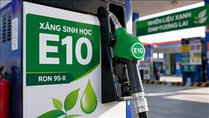 Xanh hóa nhiên liệu giao thông: Sẵn sàng cho lộ trình 