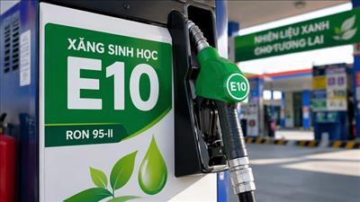 Xanh hóa nhiên liệu giao thông: Sẵn sàng cho lộ trình 