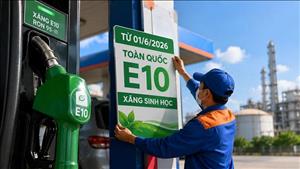 Yêu cầu bảo đảm nguồn cung xăng sinh học trên toàn quốc