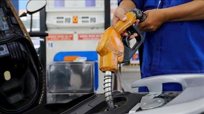 Trình Nghị quyết về thuế bảo vệ môi trường đối với xăng, dầu, mỡ nhờn