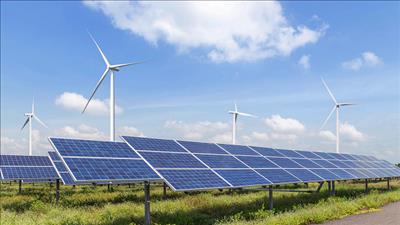 Phát động chuỗi sự kiện Ngày chuyển đổi xanh năm 2025