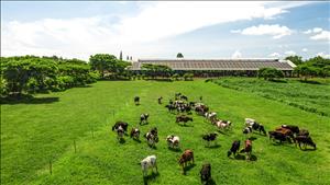 Chương trình Net Zero – Gửi tương lai