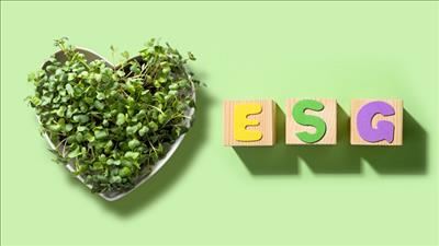 ESG – Lợi thế mới cho doanh nghiệp tư nhân trong phát triển bền vững