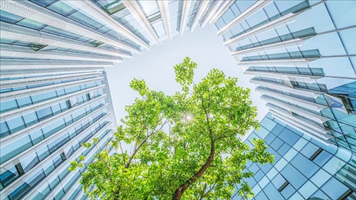 Chuyển đổi xanh trong ngành xây dựng và giao thông, hướng tới mục tiêu Net Zero
