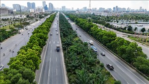 Nghiên cứu, xác định cơ cấu cây trồng góp phần giảm ô nhiễm không khí