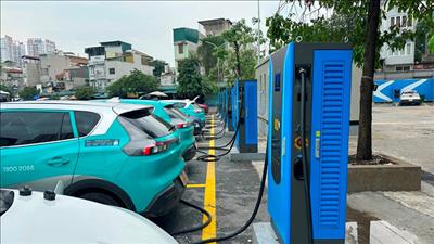 Hà Nội phấn đấu đến năm 2030 hoàn thành chuyển đổi xe taxi chạy xăng, dầu sang sử dụng điện