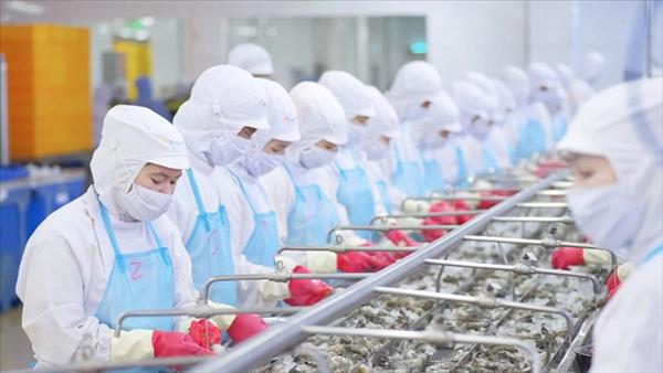 Triển khai thực hiện các nhiệm vụ, giải pháp trọng tâm thúc đẩy xuất khẩu