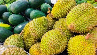 Khuyến cáo doanh nghiệp cập nhật quy định mới của Trung Quốc về xuất khẩu nông sản