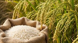 Doanh nghiệp sản xuất thực phẩm thích ứng với quy định mới của Trung Quốc