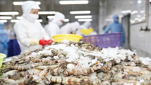 Hướng tới mục tiêu xuất khẩu thủy sản vượt 12 tỷ USD trong năm 2026