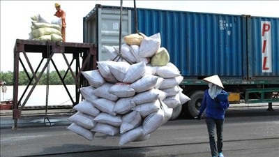 Quy định về thương nhân đầu mối ký kết và tổ chức thực hiện hợp đồng xuất khẩu gạo tập trung