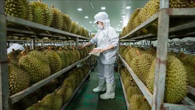 Tạo thuận lợi thông quan đối với hàng hóa nông sản xuất khẩu