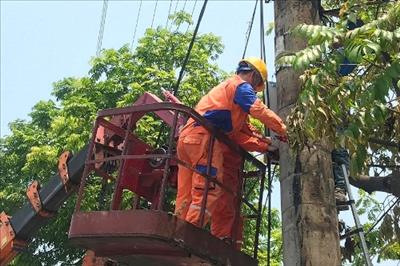 EVN triển khai đối phó với cơn bão số 3 WIPHA